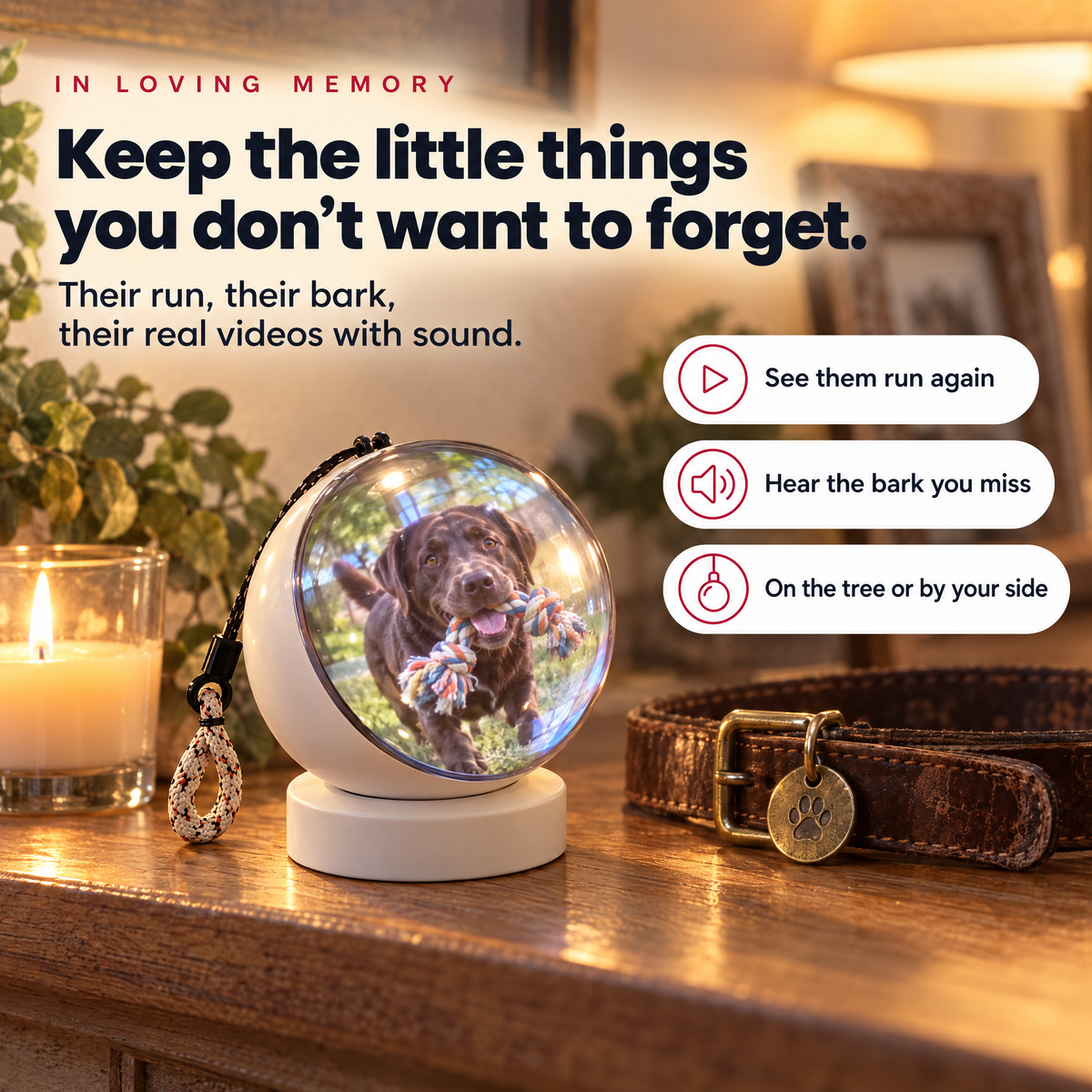 In loving memory: Memoria Globe on its stand beside a dog collar and candle