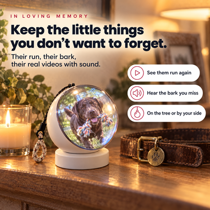 In loving memory: Memoria Globe on its stand beside a dog collar and candle